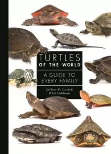 Image of Turtles of the World : A Guide to Every Family