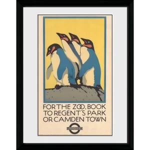 image of Transport For London Zoo 12" x 16" Framed Collector Print