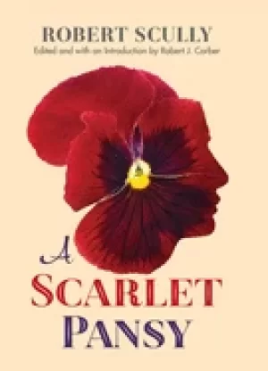 Image of scarlet pansy