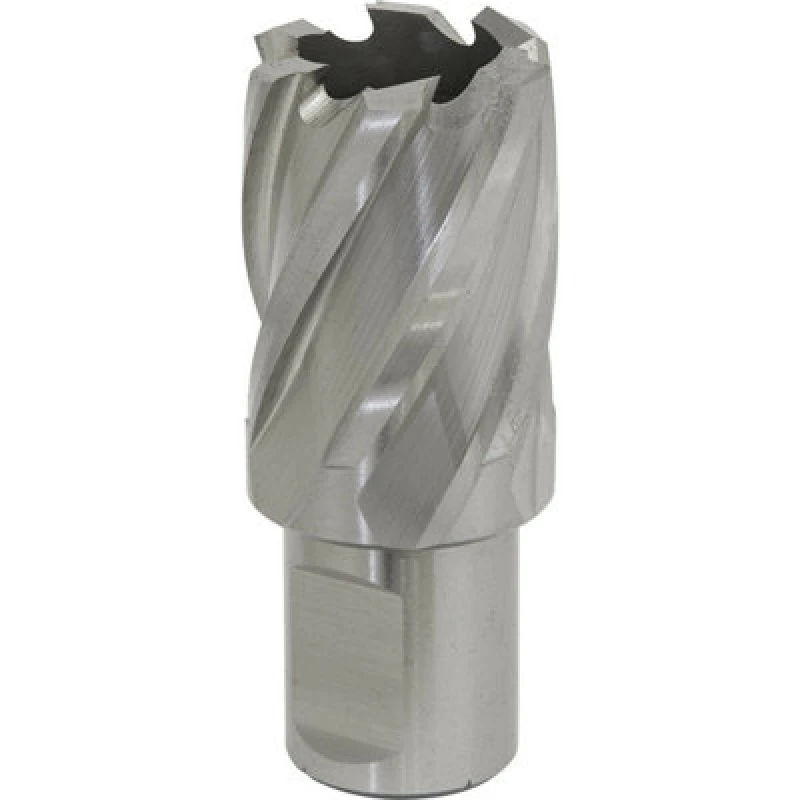 Image of Loops 24mm x 25mm Depth Rotabor Cutter - M2 Steel Annular Metal Core Drill 19mm Shank Metallics