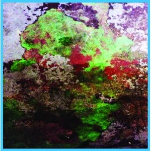 Image of LST &lrm;- Th Duo Vinyl