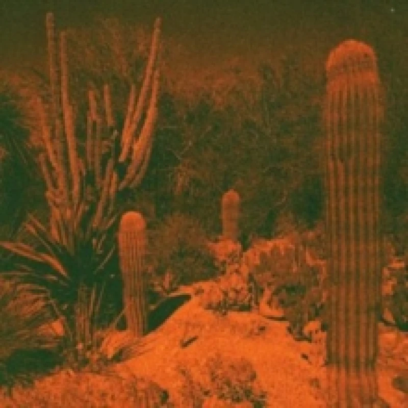 Image of Anticipation CD / Album