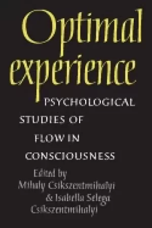Image of optimal experience psychological studies of flow in consciousness