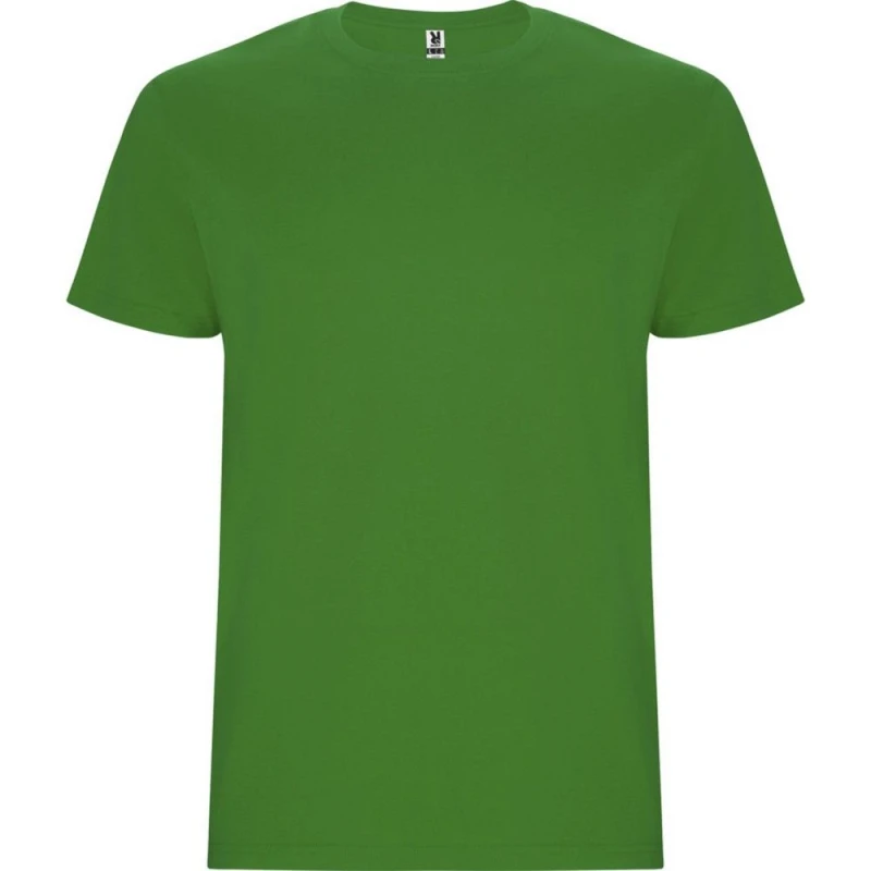 Image of Roly Stafford girls's Children's T shirt in Green