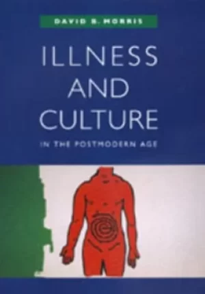 Image of Illness and culture in the postmodern age by David B. Morris