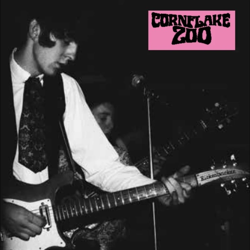 Image of Knights of fuzz Vinyl