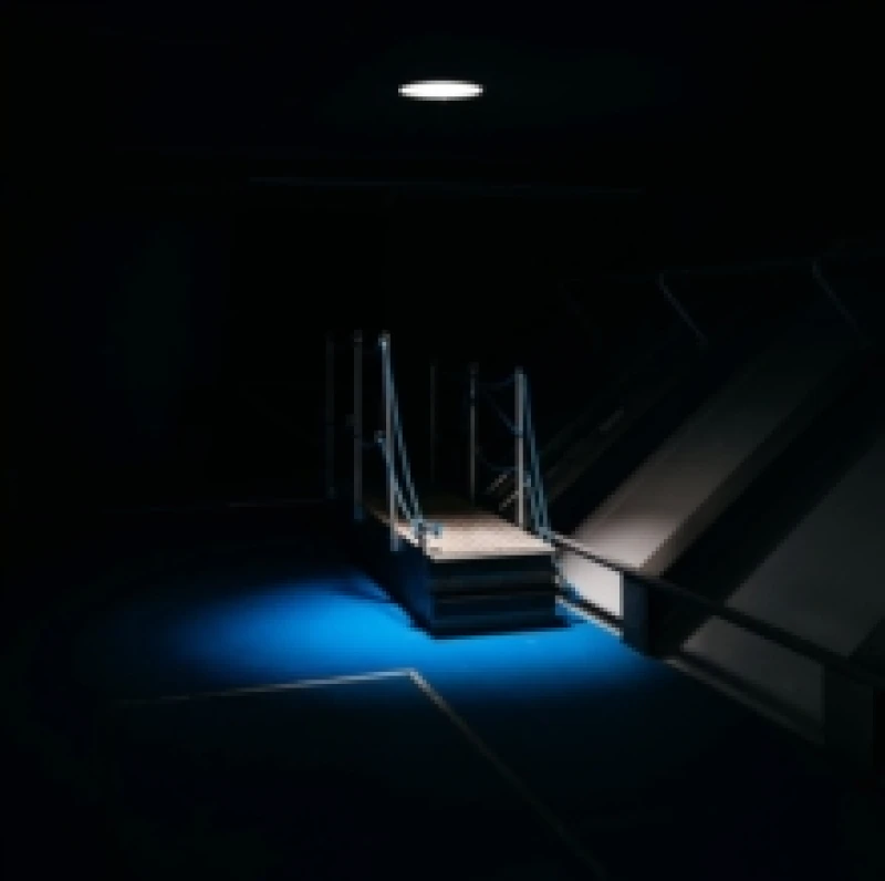 Image of Nocturnal Manoeuvres Vinyl