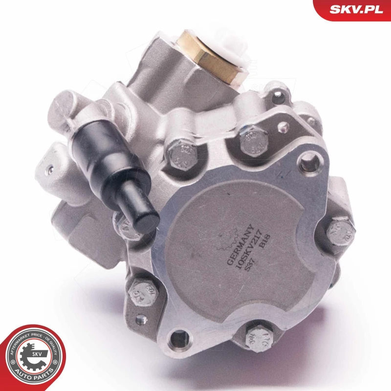 Image of ESEN SKV Power steering pump ESEN SKV 10SKV217