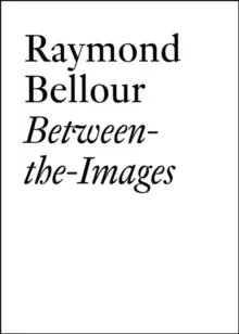 Image of Raymond Bellour : Between-the-Images