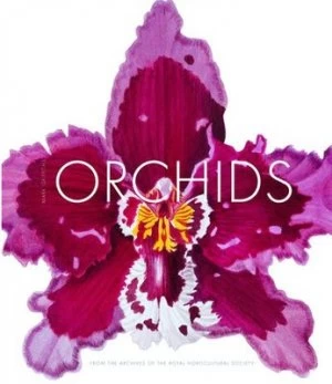 Image of Orchids by Mark Griffiths and Royal Horticultural Society Hardback