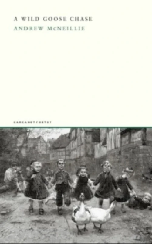 Image of A Wild Goose Chase Paperback / softback