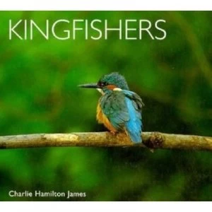 Image of Kingfishers by Charlie Hamilton James Paperback