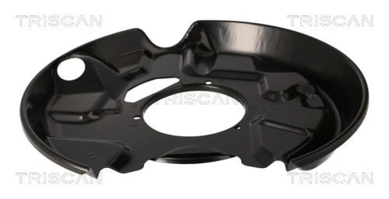 Image of TRISCAN Brake disc backing plate TRISCAN 8125 23208