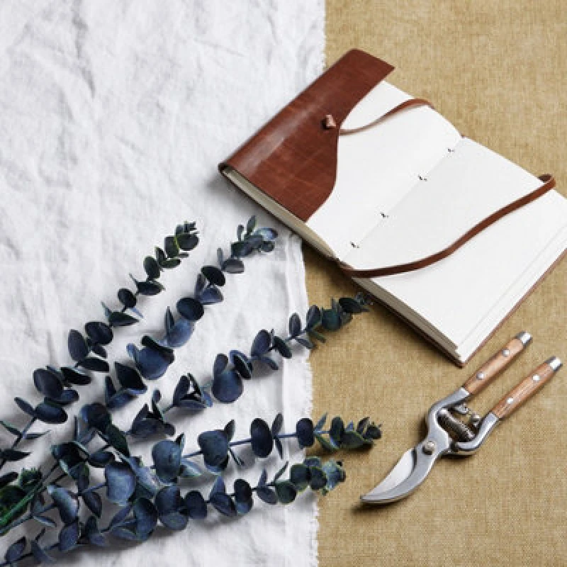 Image of Large Blue Eucalyptus Stem