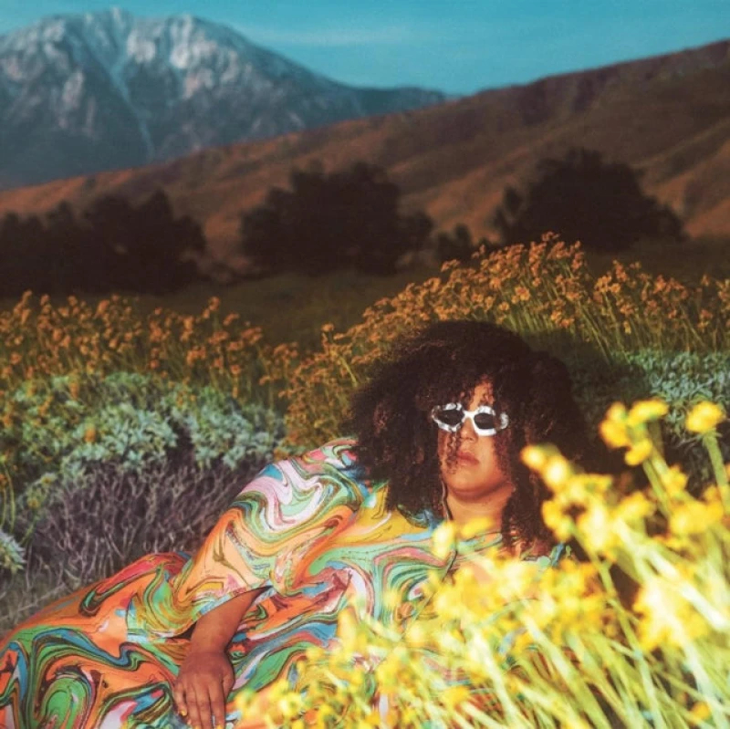 Image of Brittany Howard - WHAT NOW CD Album - Used