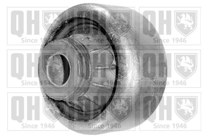 Image of QUINTON HAZELL Trailing arm / Suspension arm bush QUINTON HAZELL EMS8300