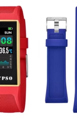 Image of Calypso Watch K8502/3