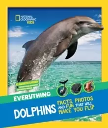 Image of Everything: Dolphins