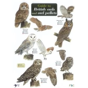 Image of Guide to British Owls and Owl Pellets A Global Studies Handbook 2008 Other printed item