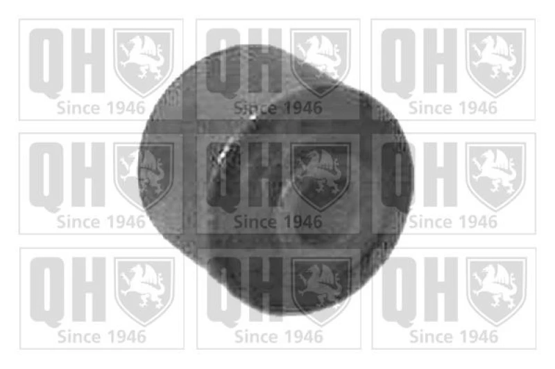 Image of QUINTON HAZELL Trailing arm / Suspension arm bush QUINTON HAZELL EMS2445