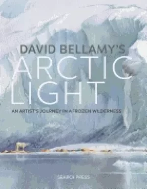 Image of david bellamys arctic light an artists journey in a frozen wilderness