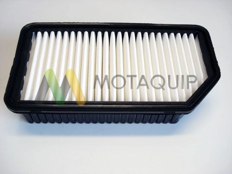 Image of MOTAQUIP Air filter MOTAQUIP LVFA1449