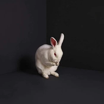 Image of Brume - Rabbits CD