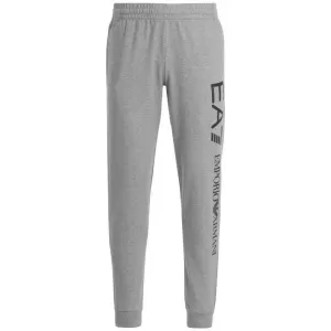Image of EA7 Boys' Train Logo Series Tape Sweatpants - Grey - 6 Years