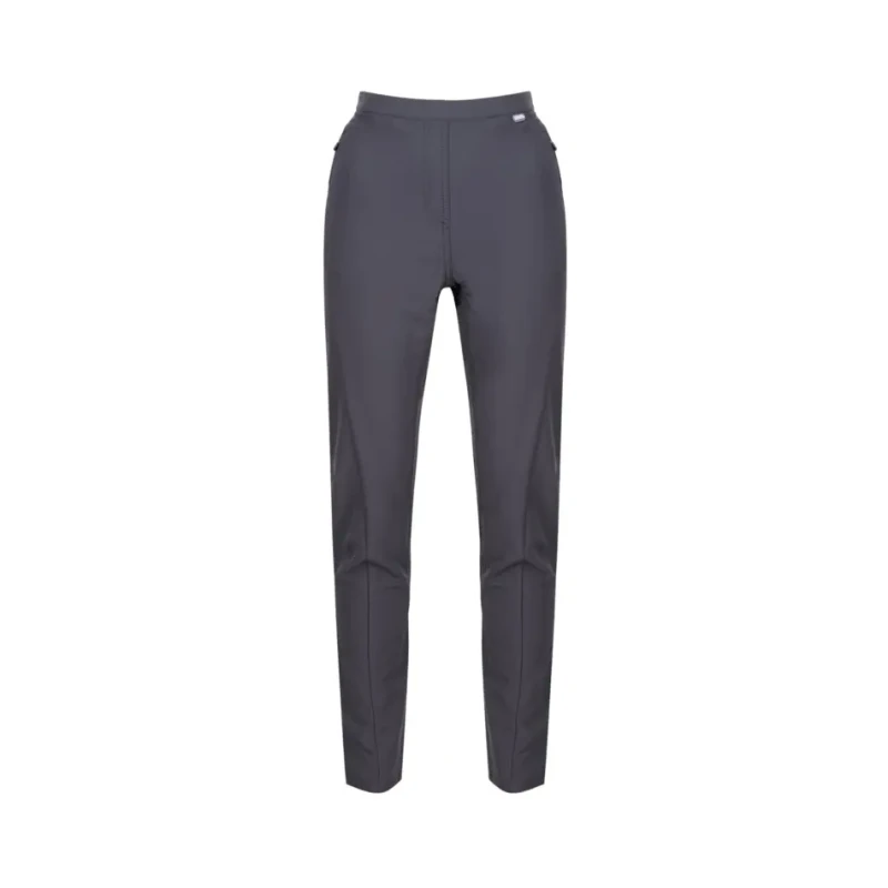 Image of Regatta Pentre Walking Trouser (Regular) - Grey Grey 10