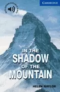 Image of in the shadow of the mountain level 5