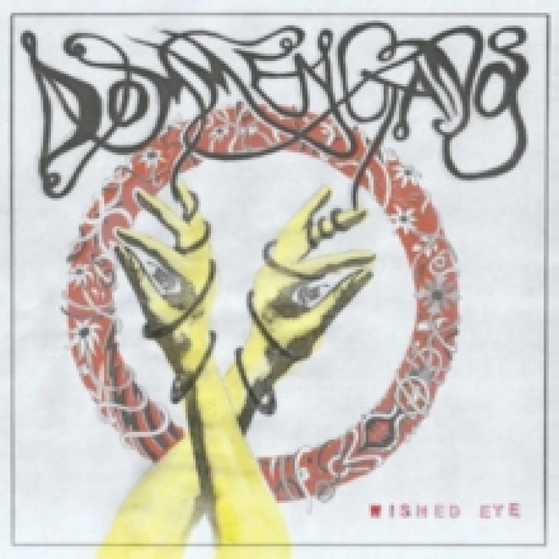 Image of Wished Eye Vinyl