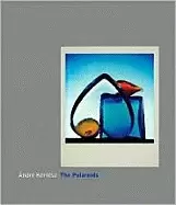 Image of andre kertesz the polaroids