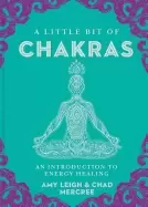 Image of little bit of chakras an introduction to energy healing