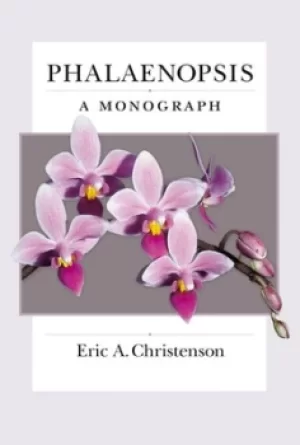 Image of Phalaenopsis by Eric A Christenson