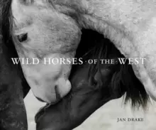 Image of Wild Horses of the West