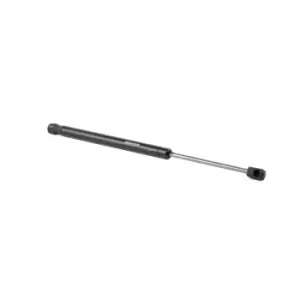 Image of RIDEX Tailgate strut RENAULT,DACIA 219G0690 904520004R,904520004R