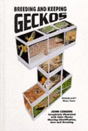 Image of Breeding and keeping geckos by John Coborn