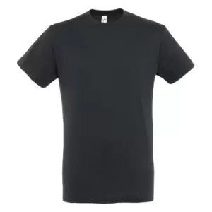 Image of SOLS Mens Regent Short Sleeve T-Shirt (L) (Mouse Grey)