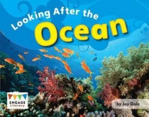 Image of Looking After the Ocean by Jay Dale Book