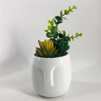 Stanford Home Home Succulent Pot - Face Ceramic