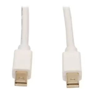 Image of 3.05 M Mini Displayport Cable 3F10383