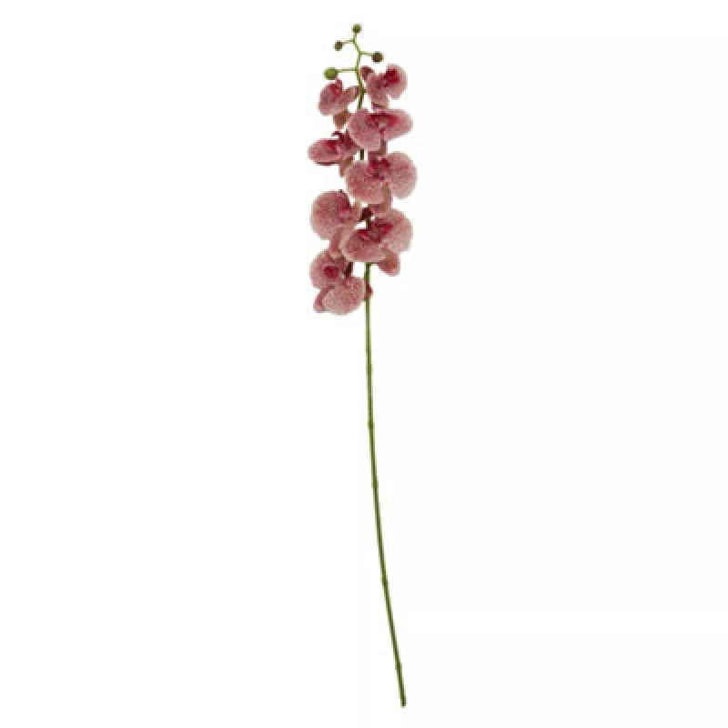 Image of Premier Housewares Fiori Artificial flowers 62cm Protea Stem Pink Flower Pink