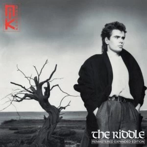Image of The Riddle CD Album