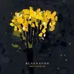 Image of Blaenavon - That's Your Lot (Music CD)