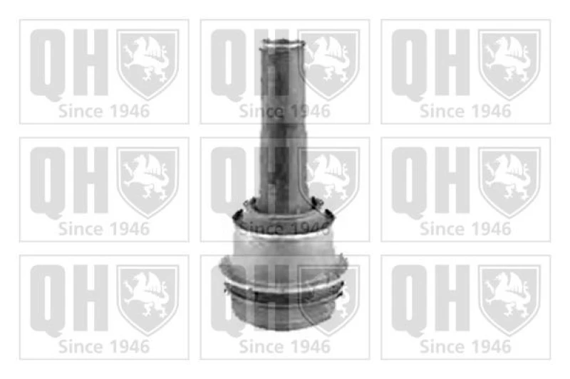 Image of QUINTON HAZELL Trailing arm / Suspension arm bush QUINTON HAZELL EMS8397
