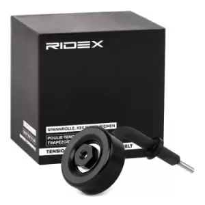 Image of RIDEX Tensioner Pulley 310T0042 Tensioner Pulley, v-ribbed belt BMW,OPEL,LAND ROVER,3 Limousine (E46),5 Limousine (E39),3 Touring (E46)