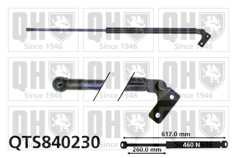 Image of QUINTON HAZELL Tailgate strut QUINTON HAZELL QTS840230