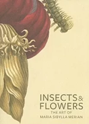 Image of insects and flowers the art of maria sibylla merian