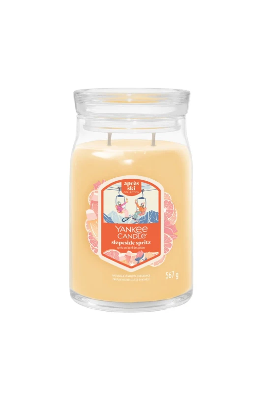 Image of Yankee Candle Womens Signature Large Jar Slopeside Spritz Multicolor Female