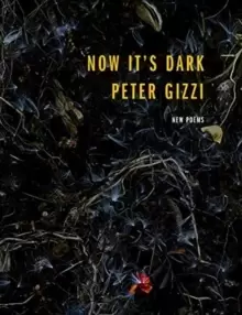 Image of Now It's Dark